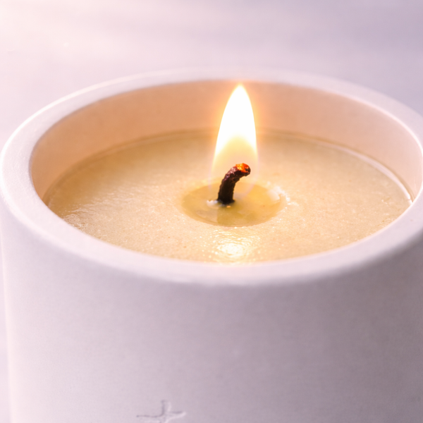 True Source – Elemental Flow