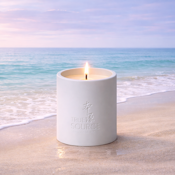 True Source – Holistic Stillness